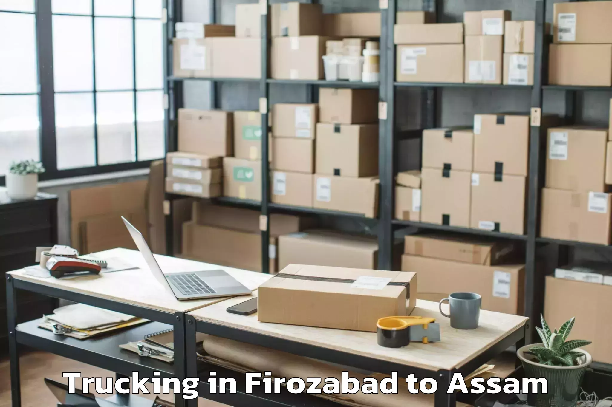 Easy Firozabad to Sonabarighat Trucking Booking